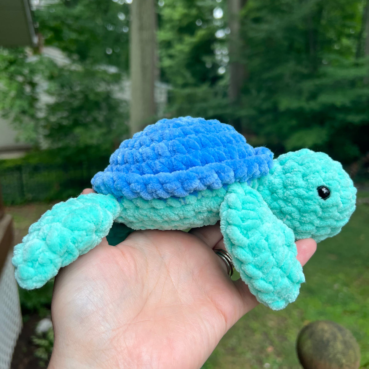 Sea Turtles - the Bright Ones