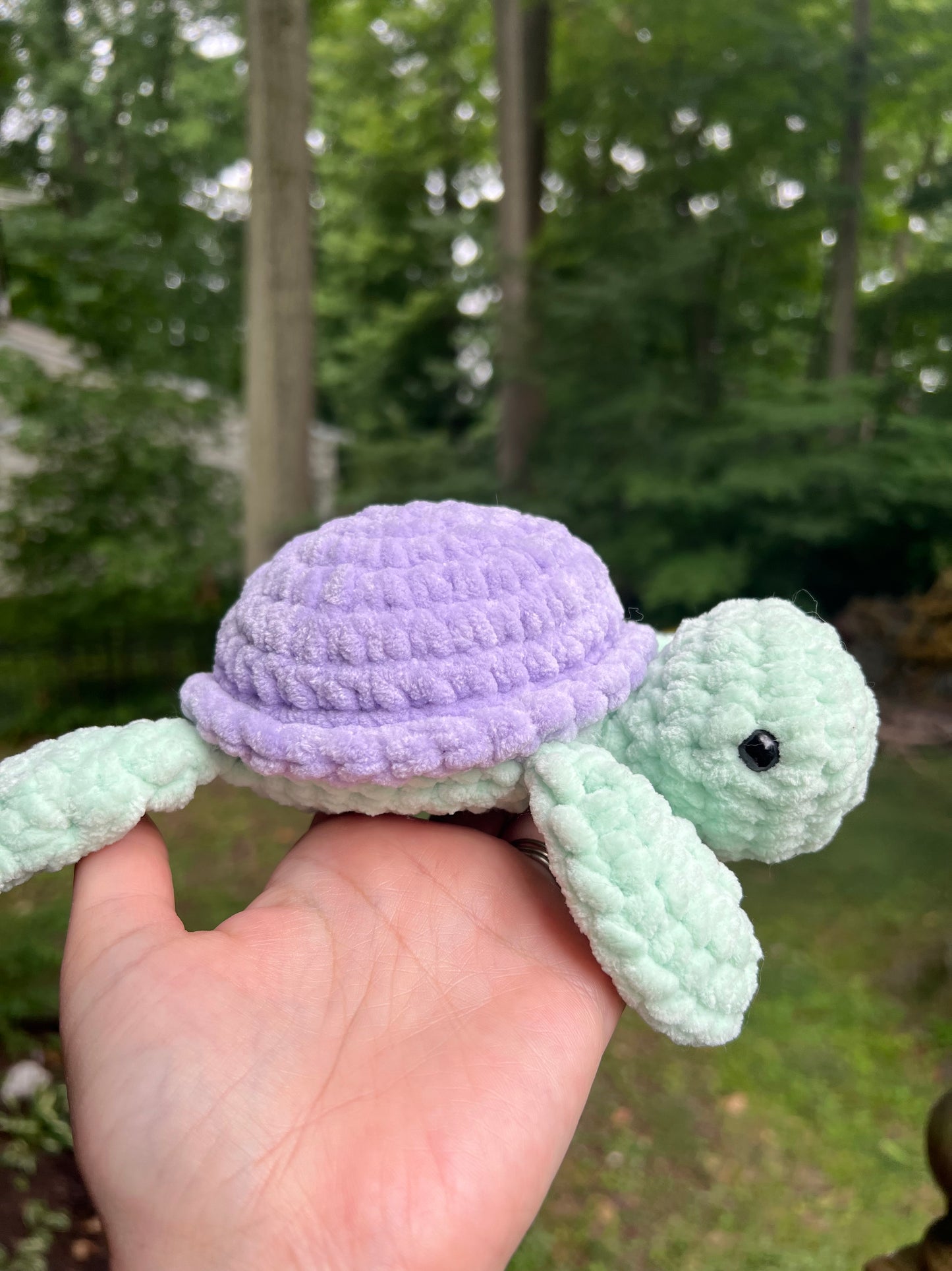 Sea Turtles - the Pastel Ones
