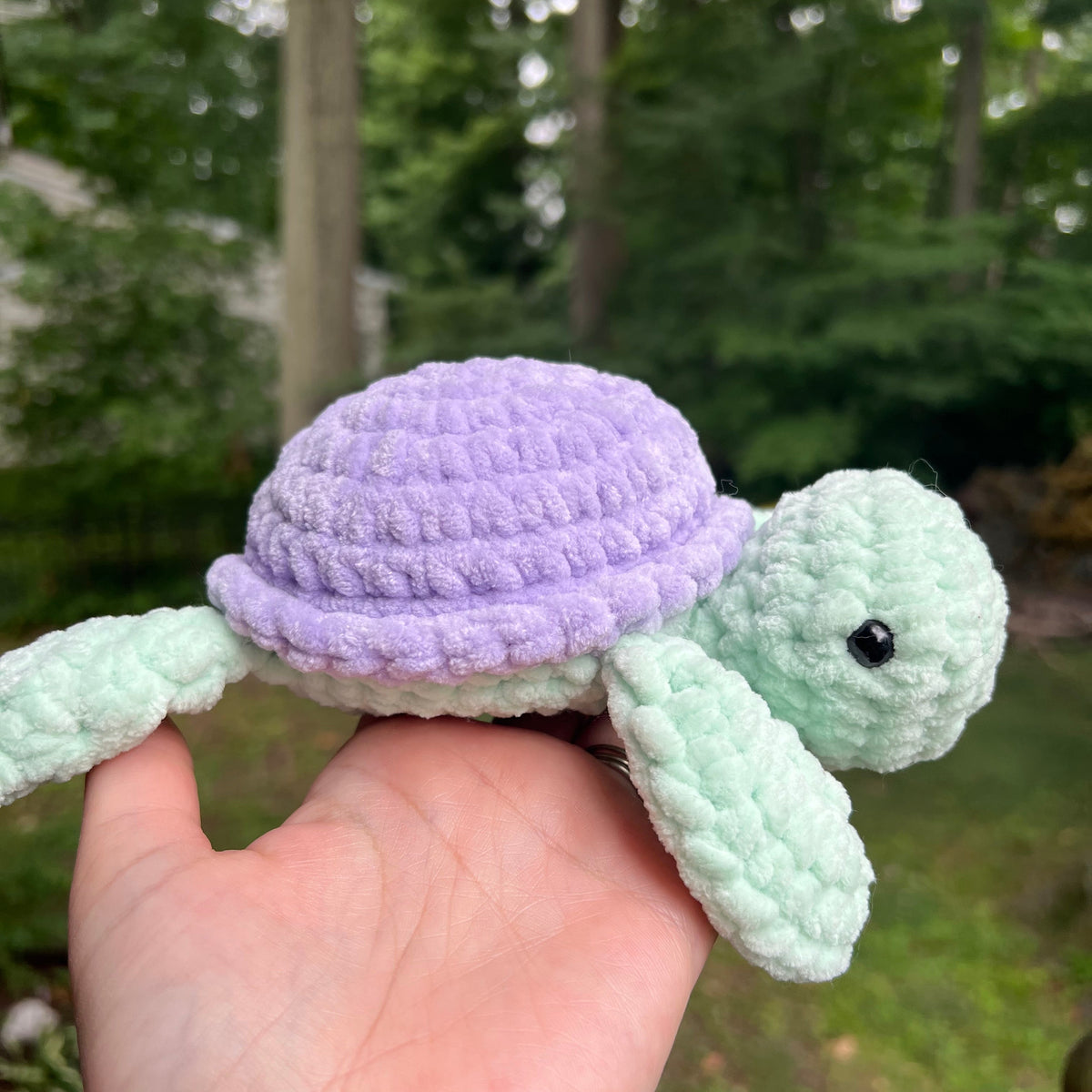 Sea Turtles - the Pastel Ones