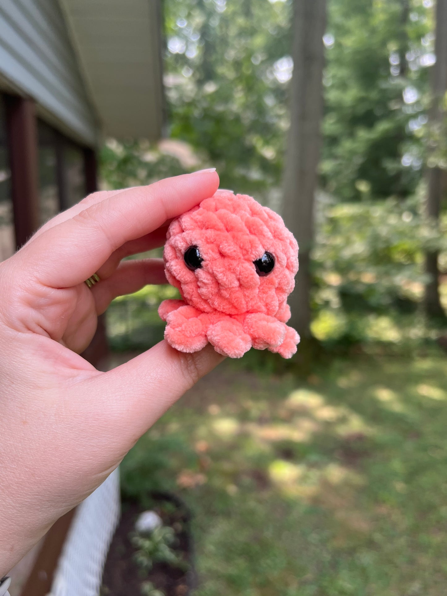 Lil’ Octopi - the Bright Ones