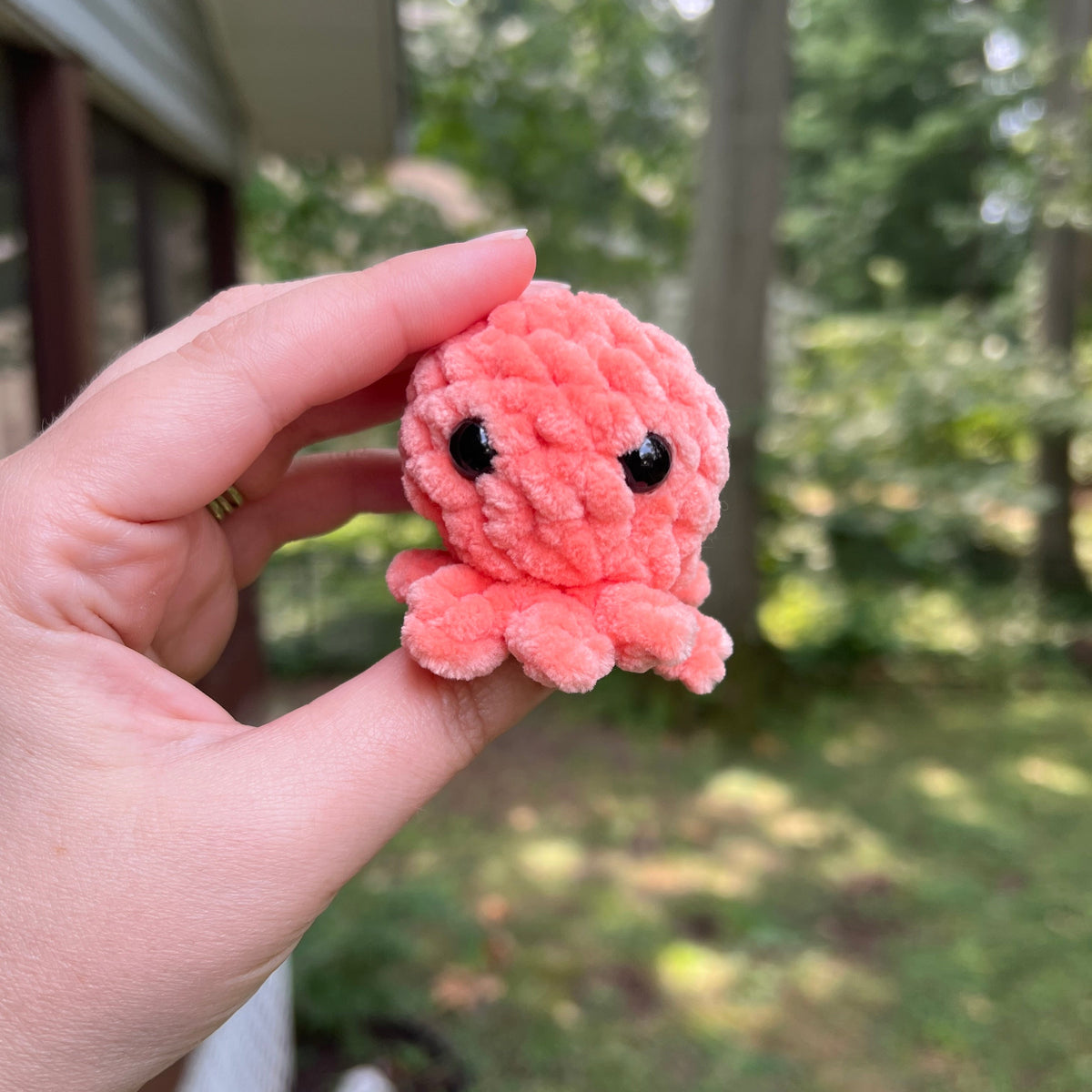 Lil’ Octopi - the Bright Ones