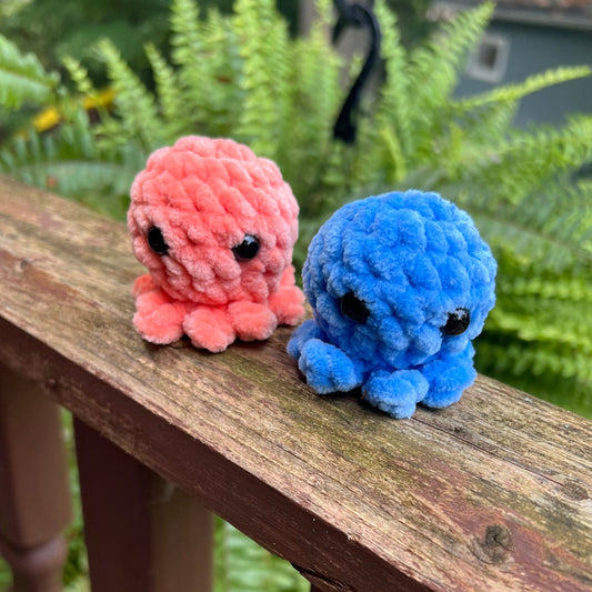 Lil’ Octopi - the Bright Ones