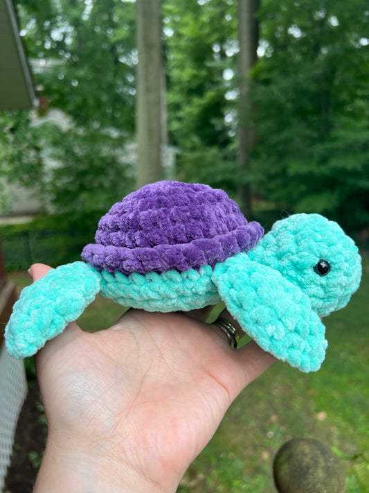 Sea Turtles - the Bright Ones
