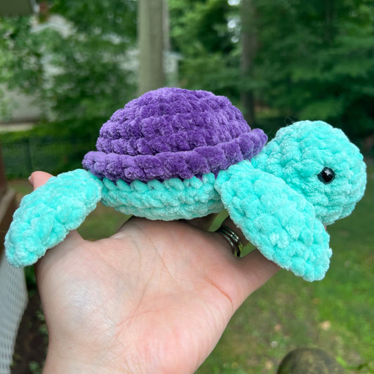 Sea Turtles - the Bright Ones