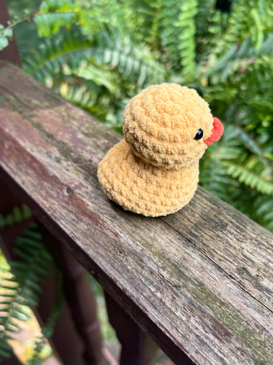 Lil’ Duckie