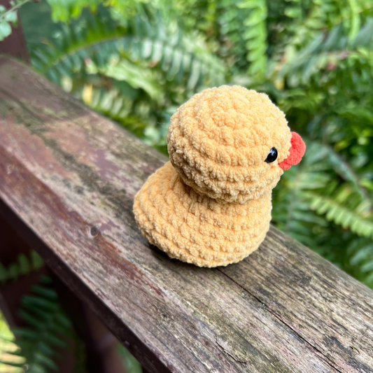 Lil’ Duckie