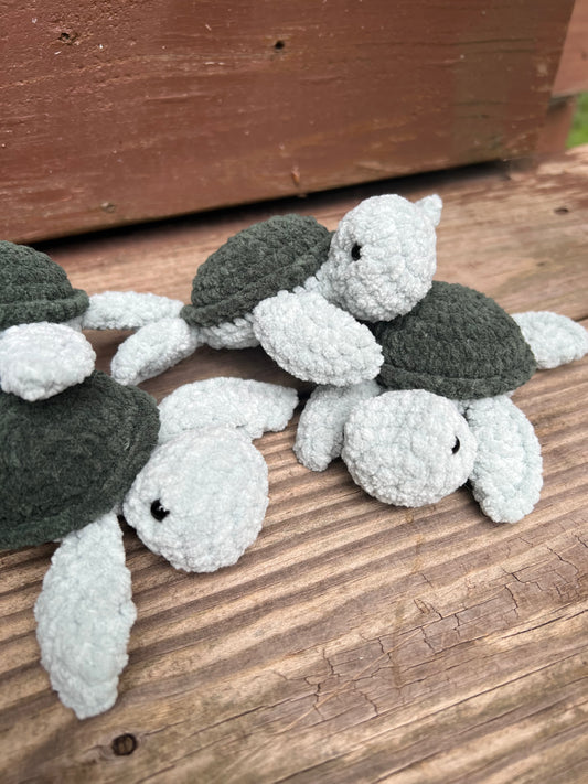 Lil’ Sea Turtle