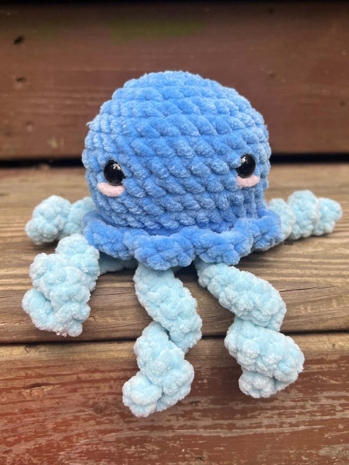 Jellyfish