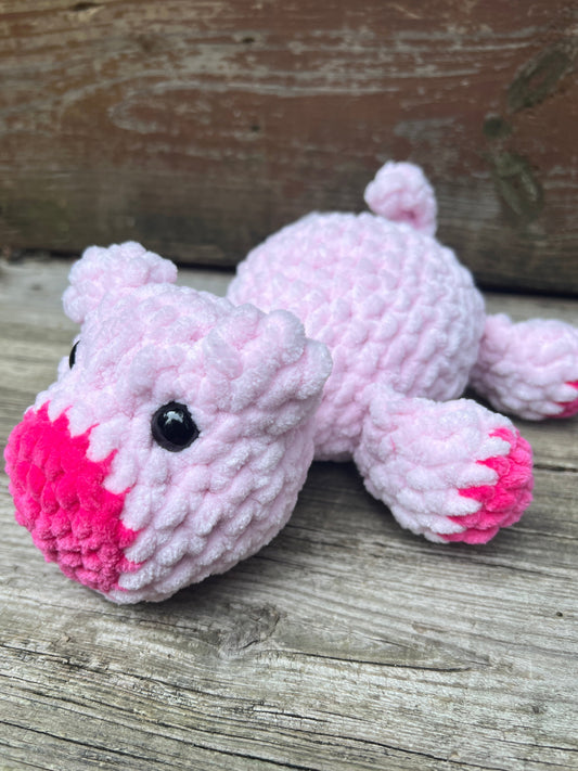 Piggy