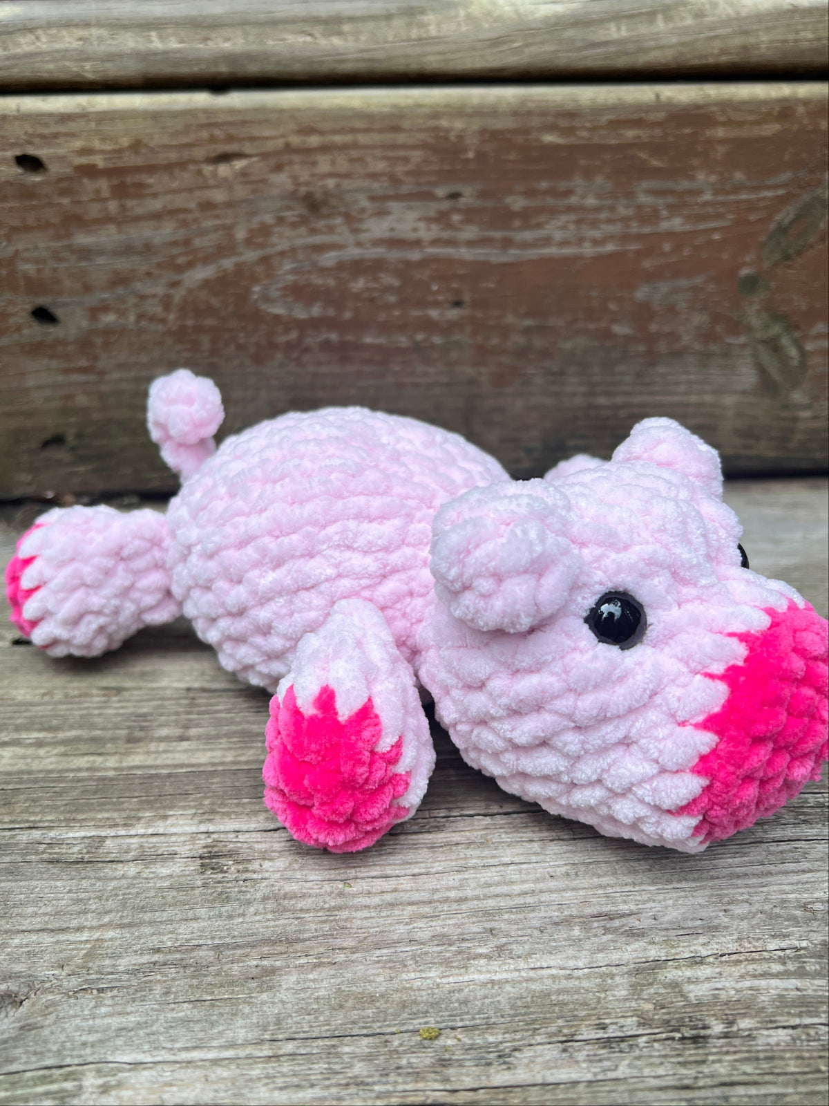 Piggy
