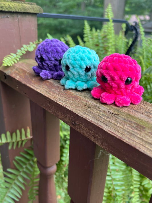 Lil’ Octopi - the Bright Ones
