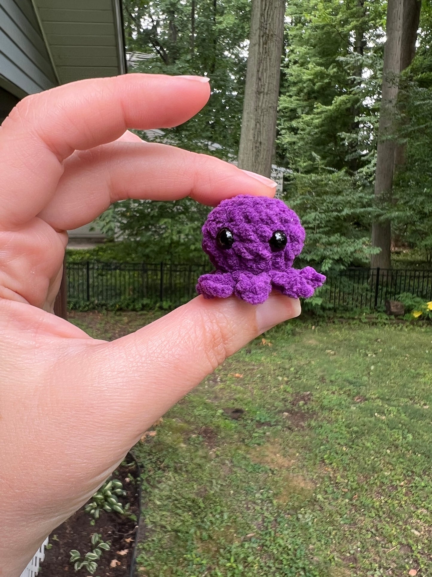 Micro Octopi