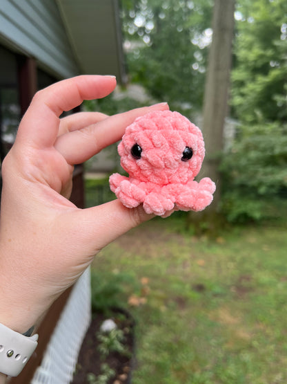 Lil’ Octopi - the Pastel Ones