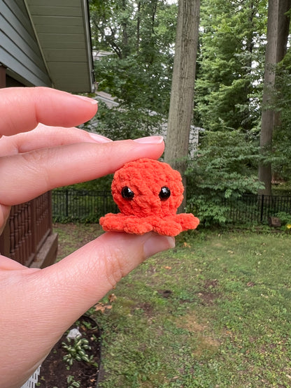 Micro Octopi