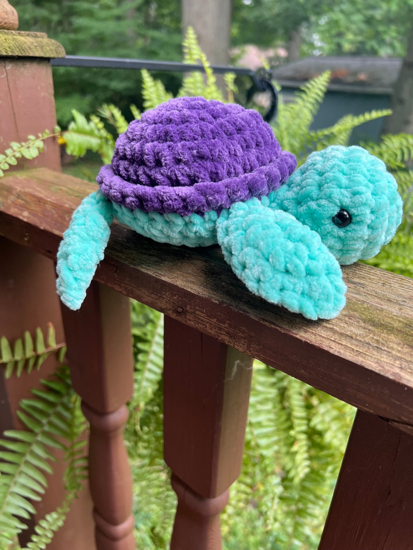 Sea Turtles - the Bright Ones