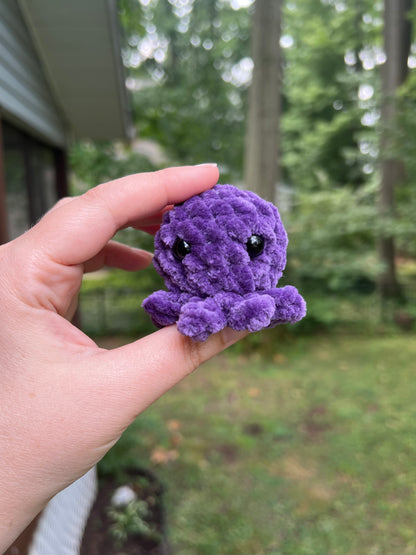 Lil’ Octopi - the Bright Ones