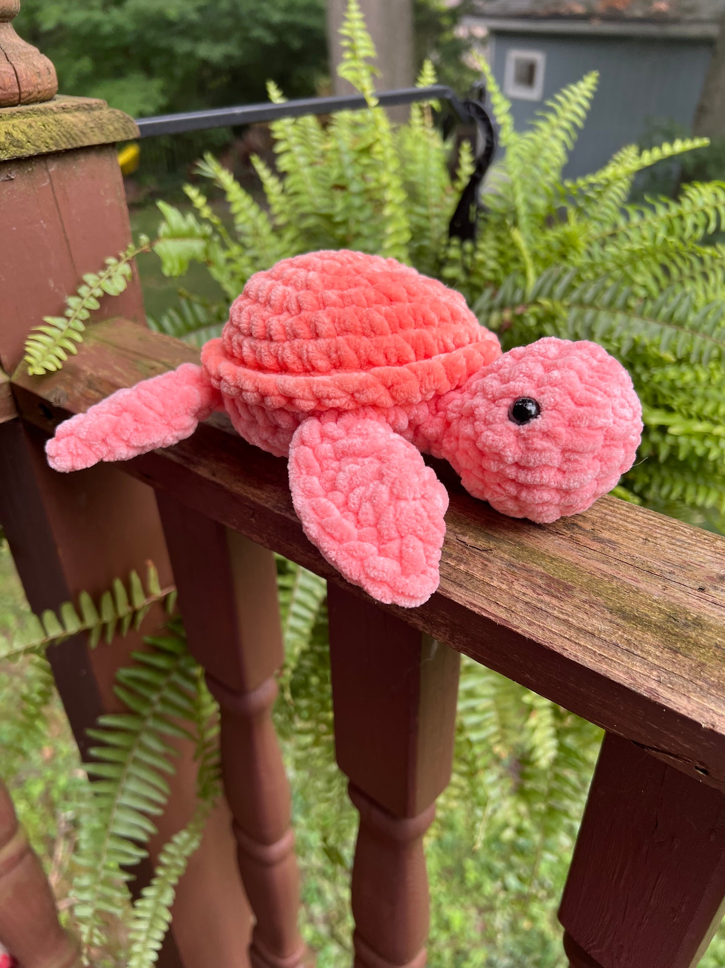 Sea Turtles - the Monotone Ones