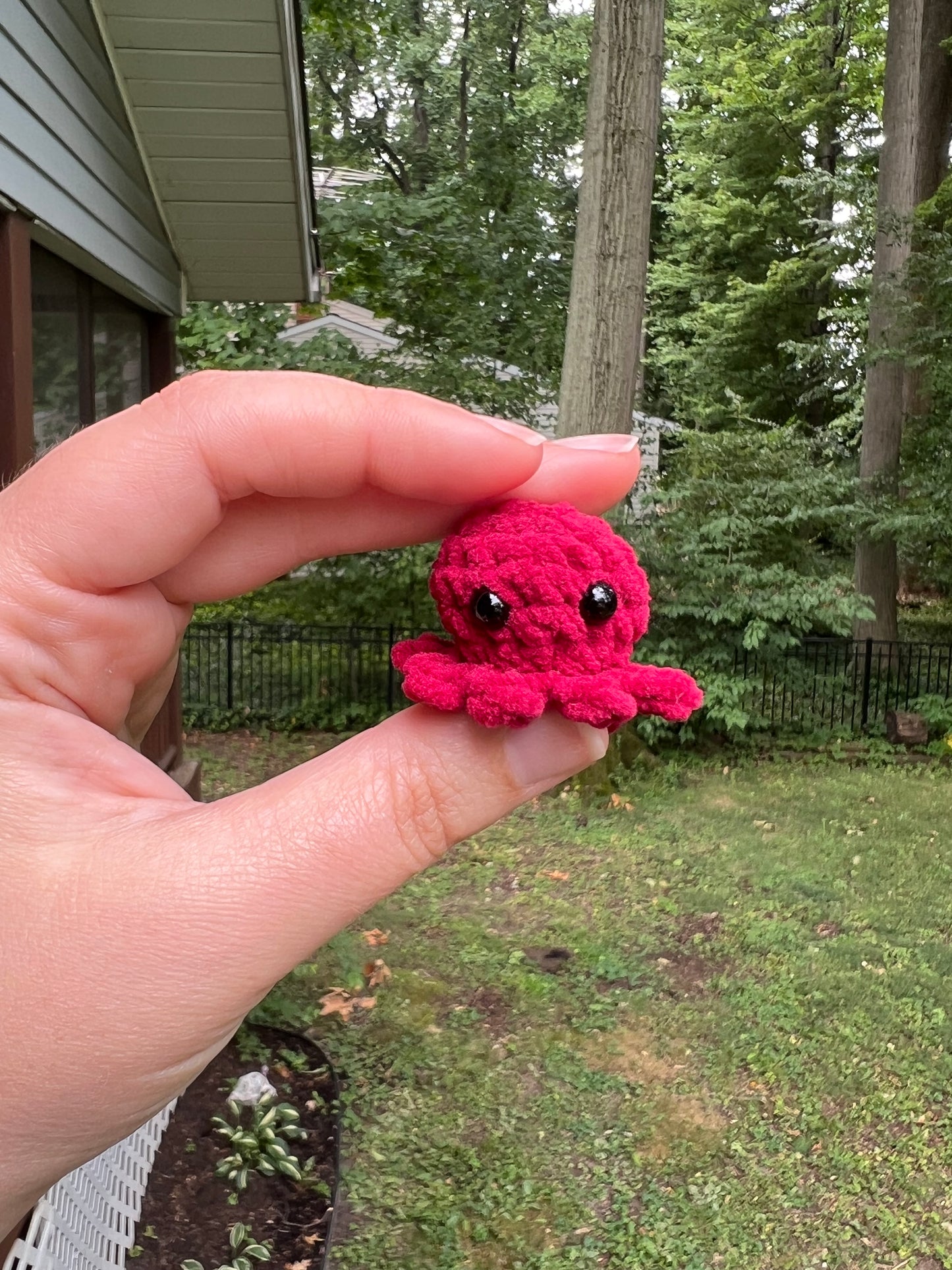 Micro Octopi