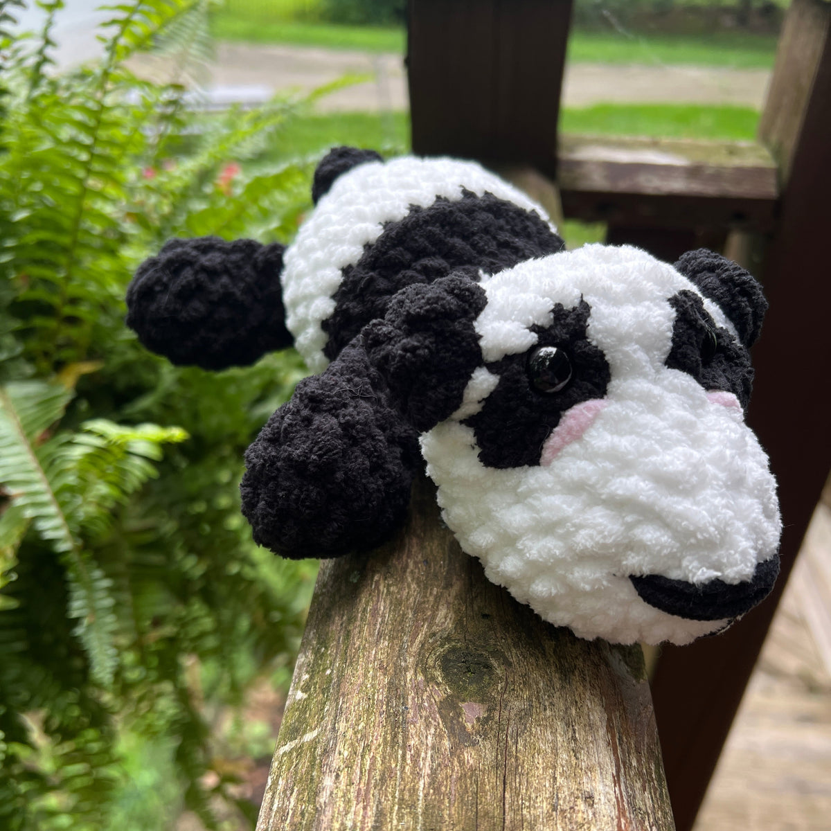 Mr. Panda