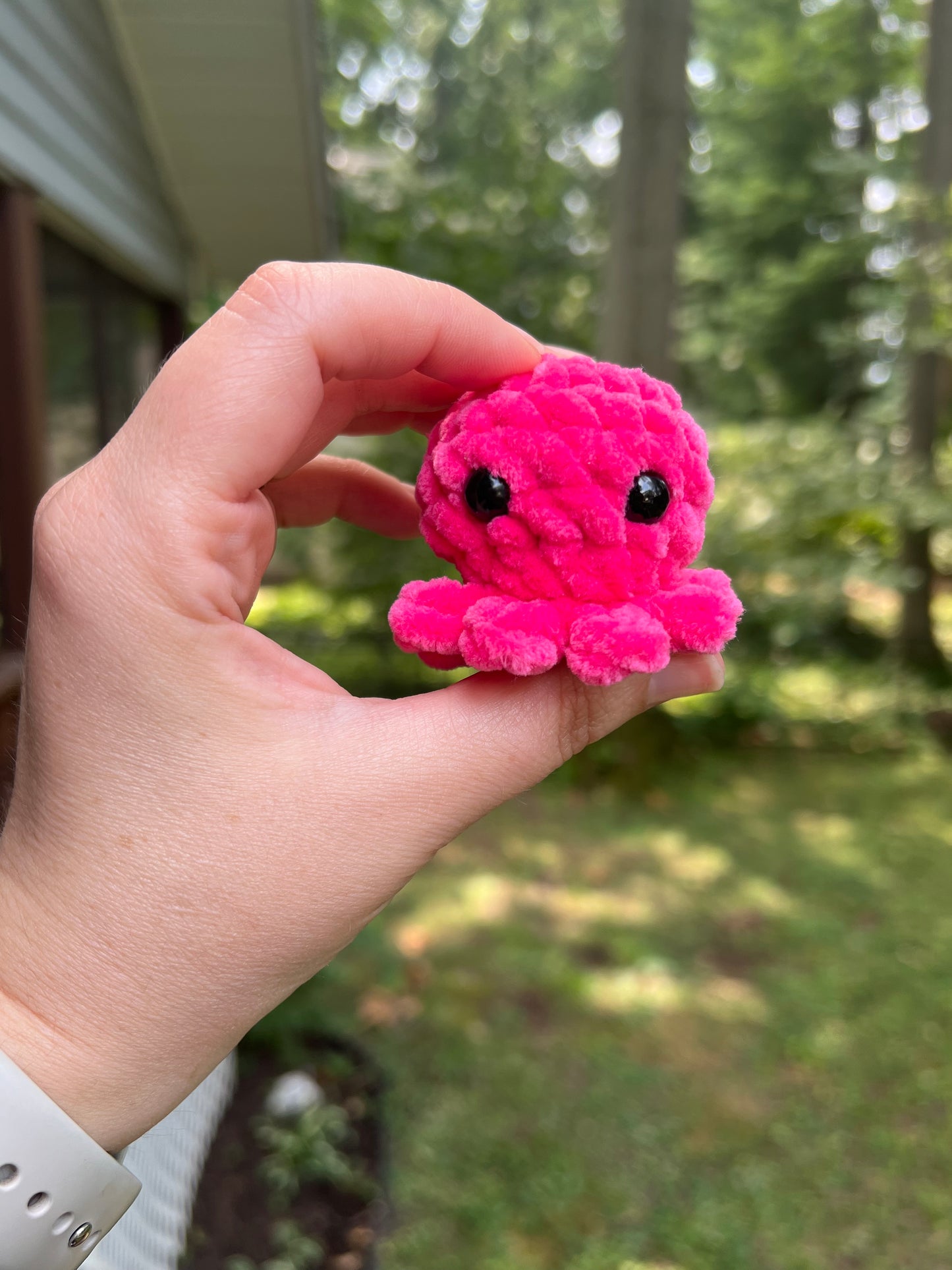 Lil’ Octopi - the Bright Ones