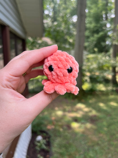 Lil’ Octopi - the Bright Ones