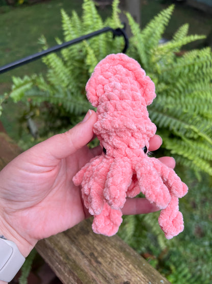 Lil’ Squid Pal