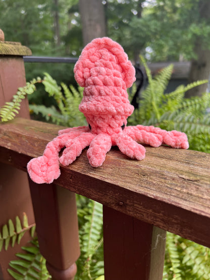 Lil’ Squid Pal