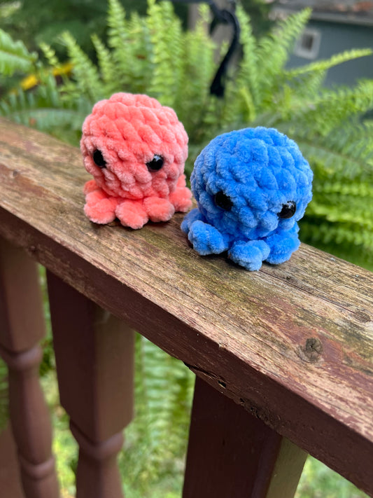 Lil’ Octopi - the Bright Ones