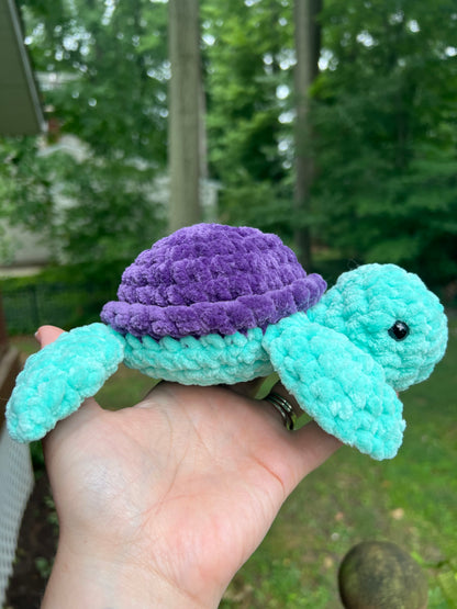 Sea Turtles - the Bright Ones