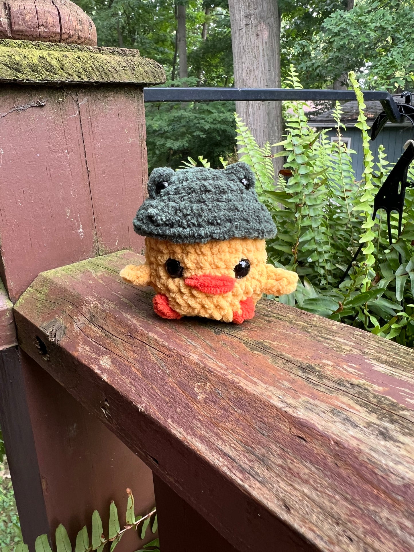 Lil Chick with a Frog Hat