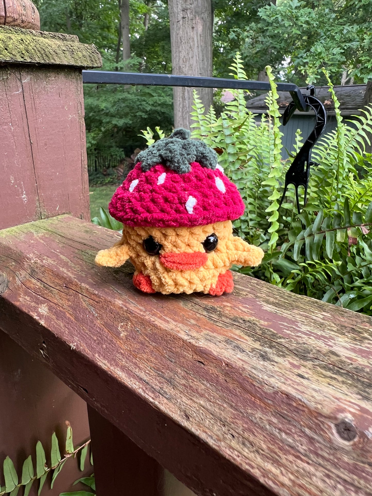 Lil’ Chick with a Strawberry Hat