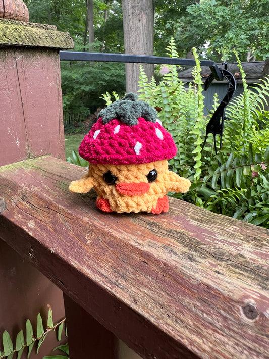 Lil’ Chick with a Strawberry Hat