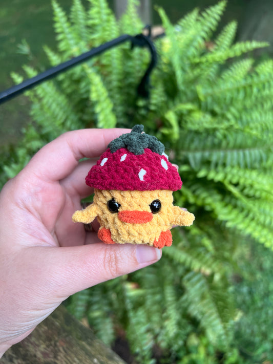Lil’ Chick with a Strawberry Hat