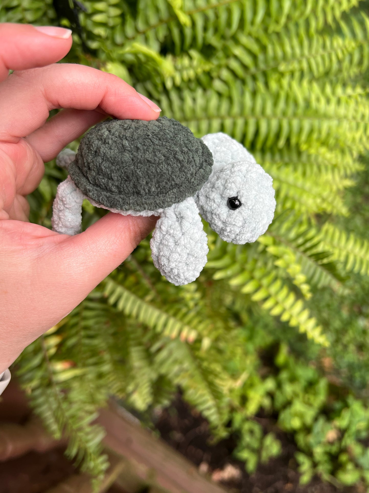 Lil’ Sea Turtle