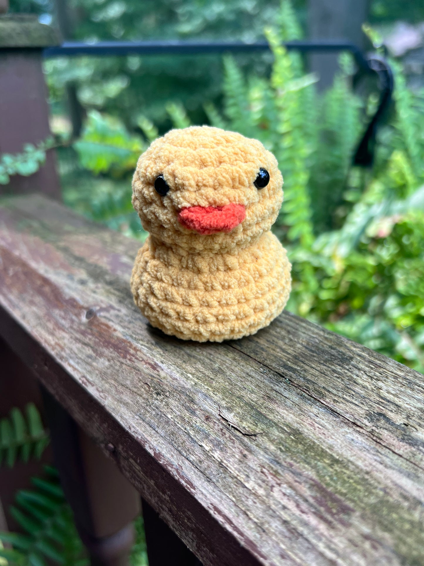 Lil’ Duckie