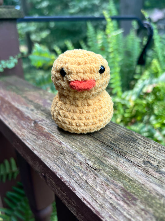 Lil’ Duckie