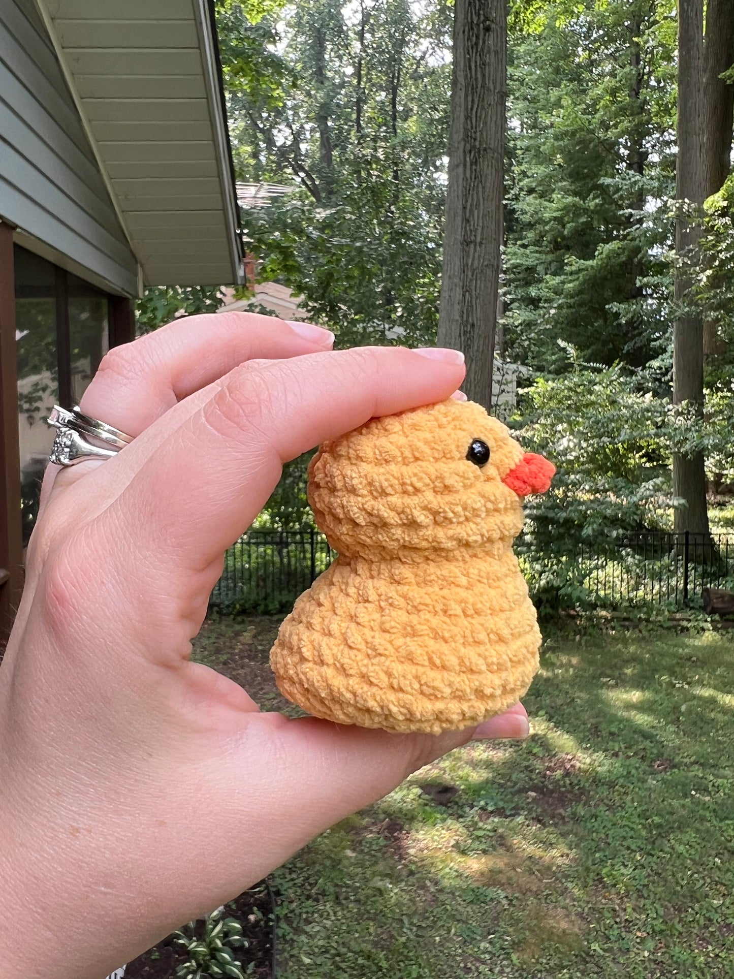 Lil’ Duckie
