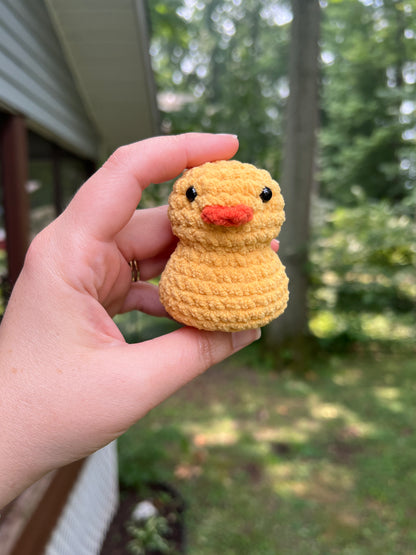 Lil’ Duckie