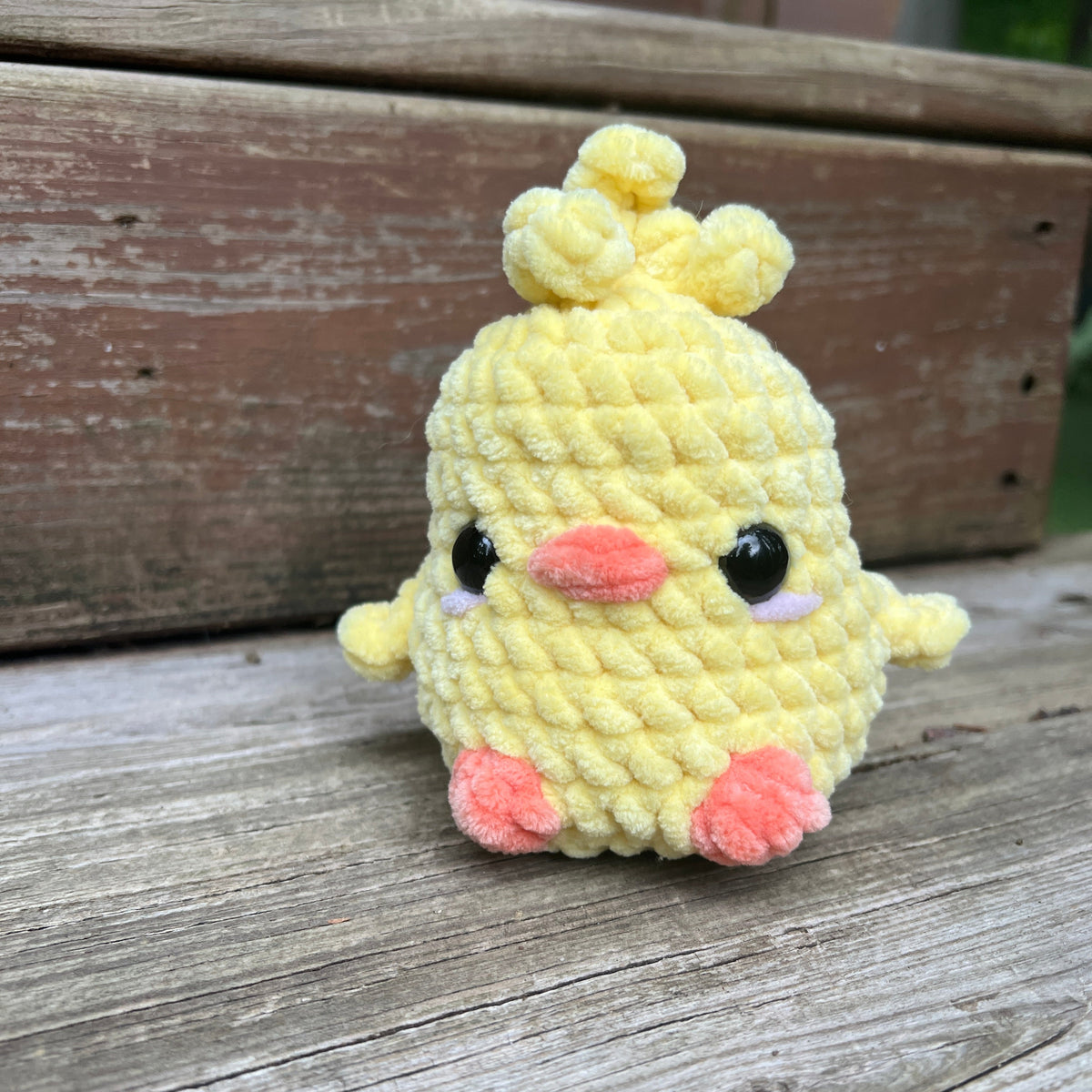 Chubby Chicks