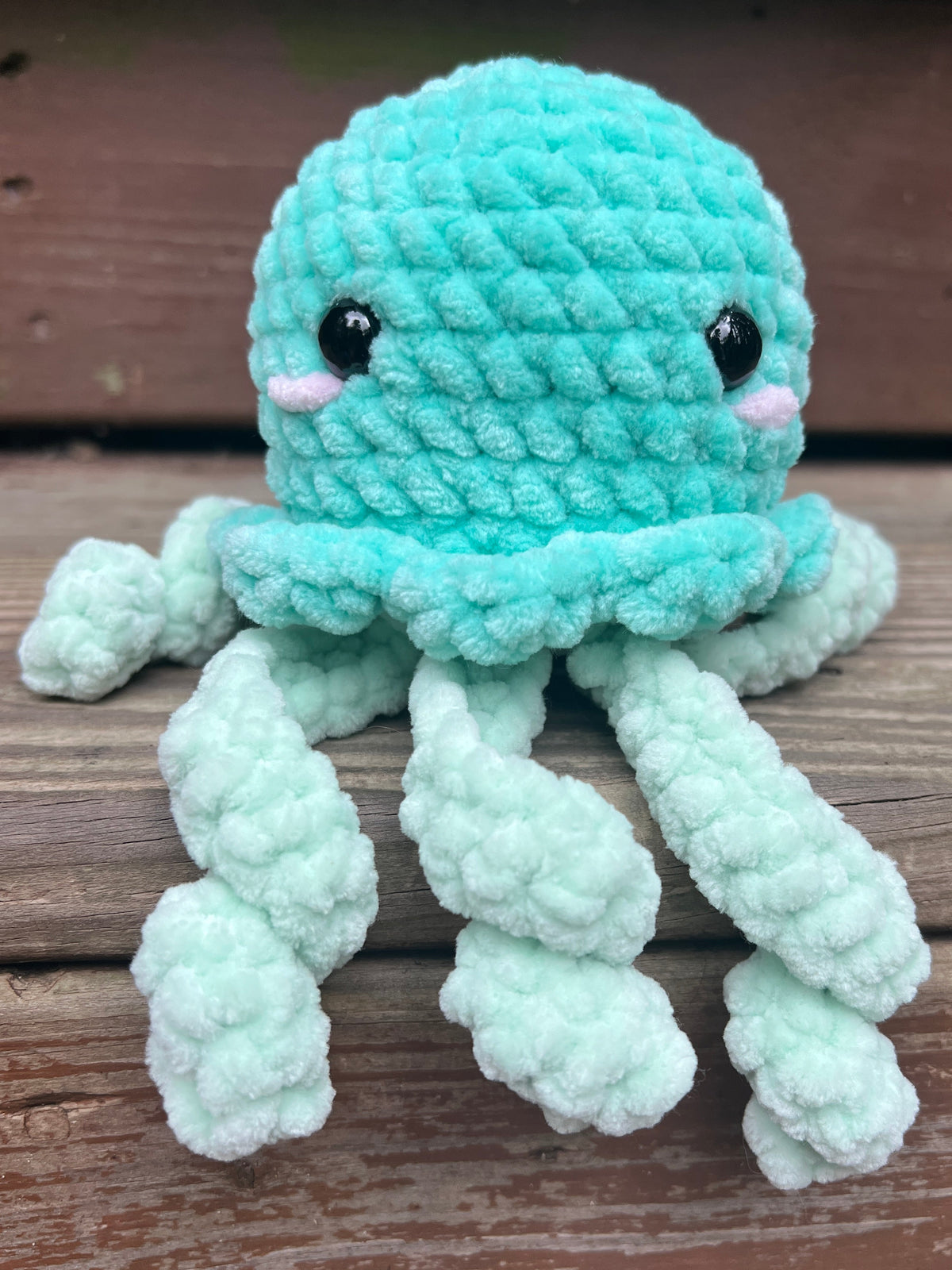 Jellyfish