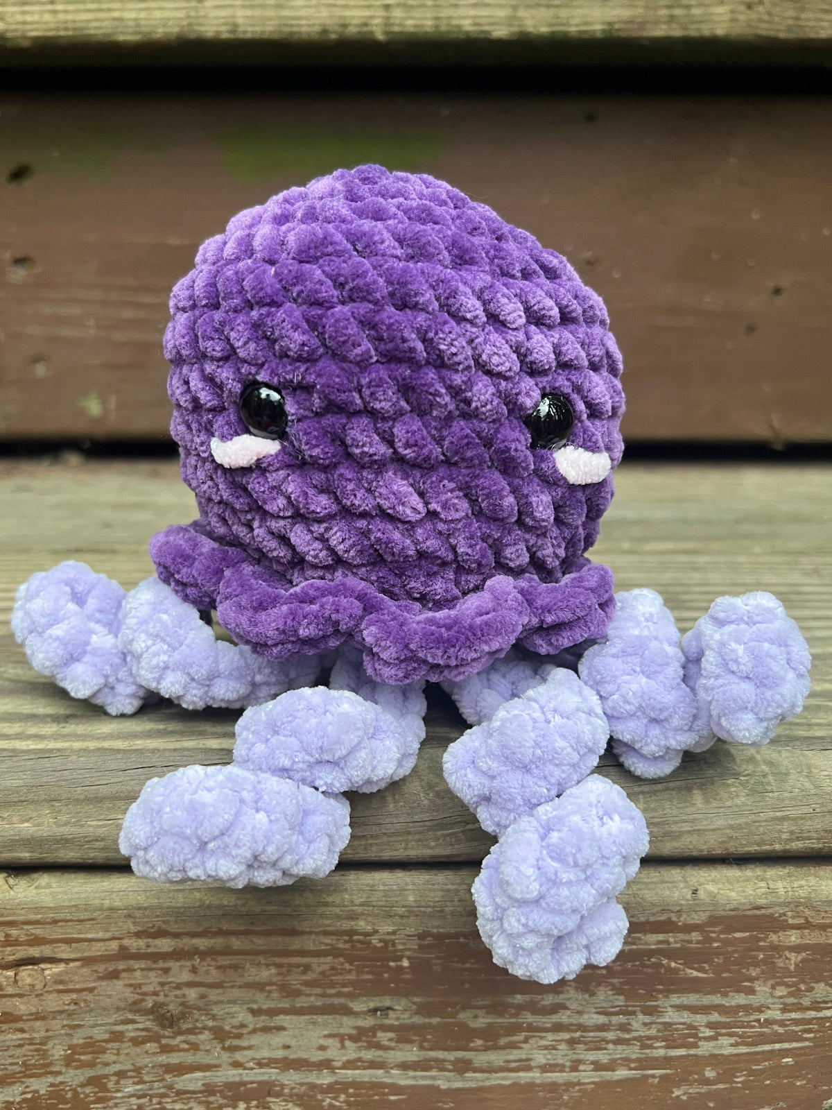 Jellyfish