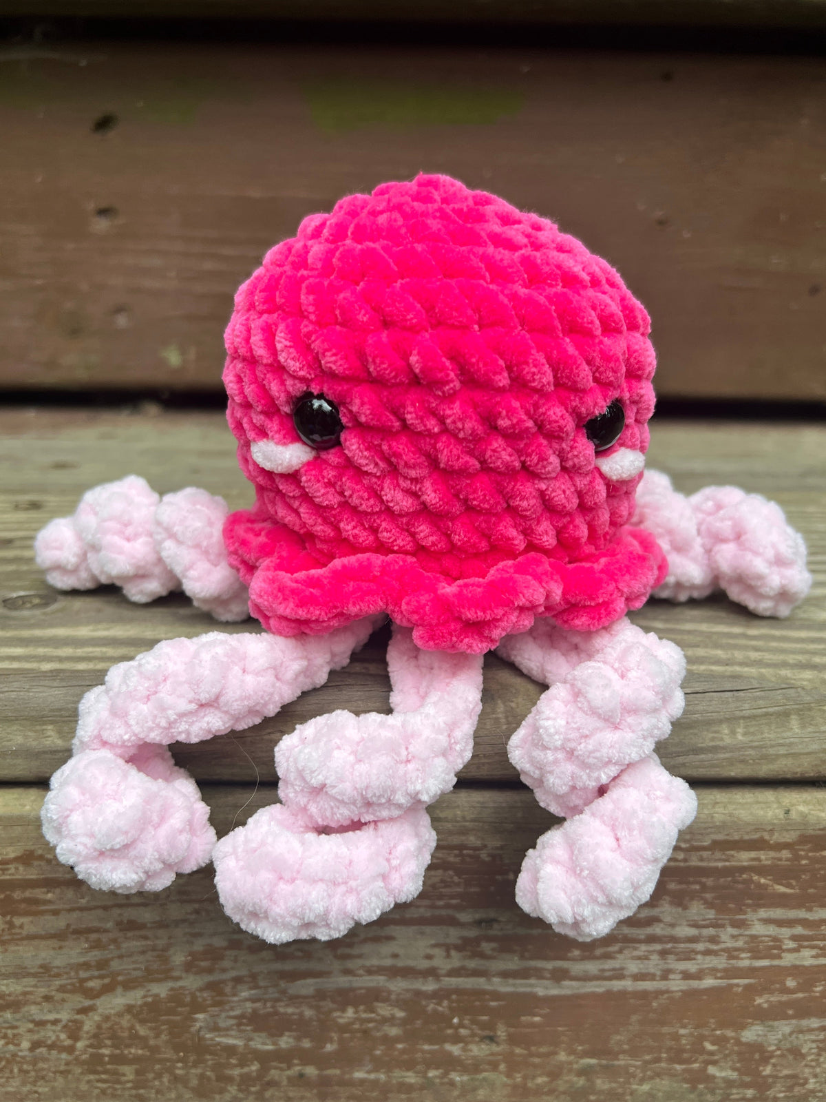 Jellyfish