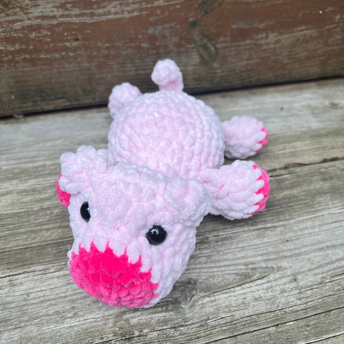 Piggy