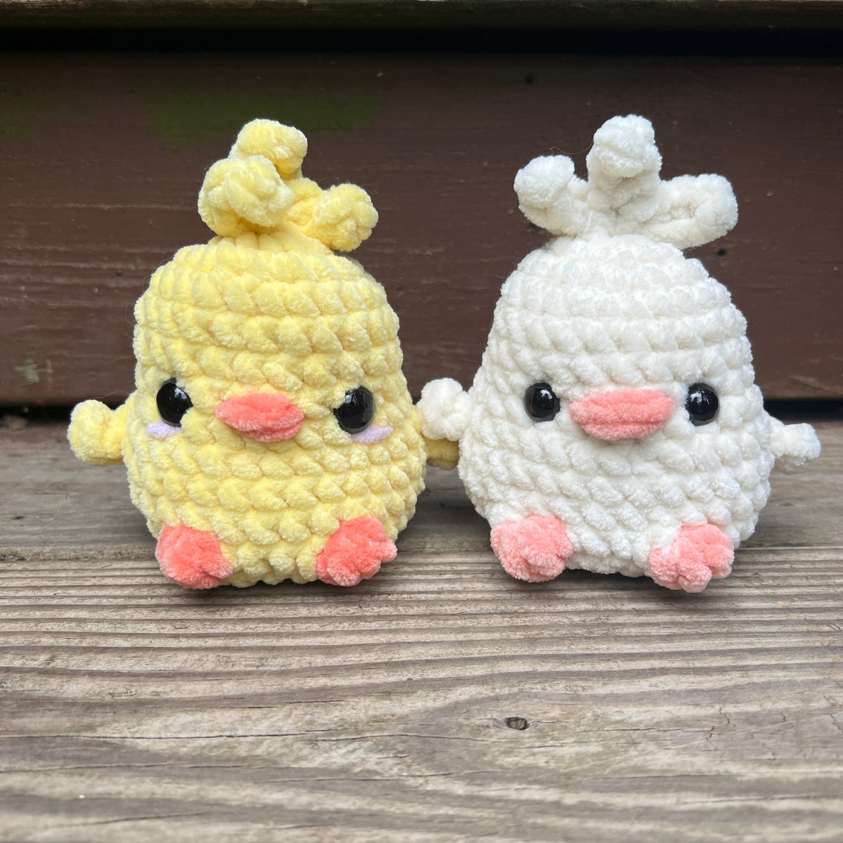 Chubby Chicks