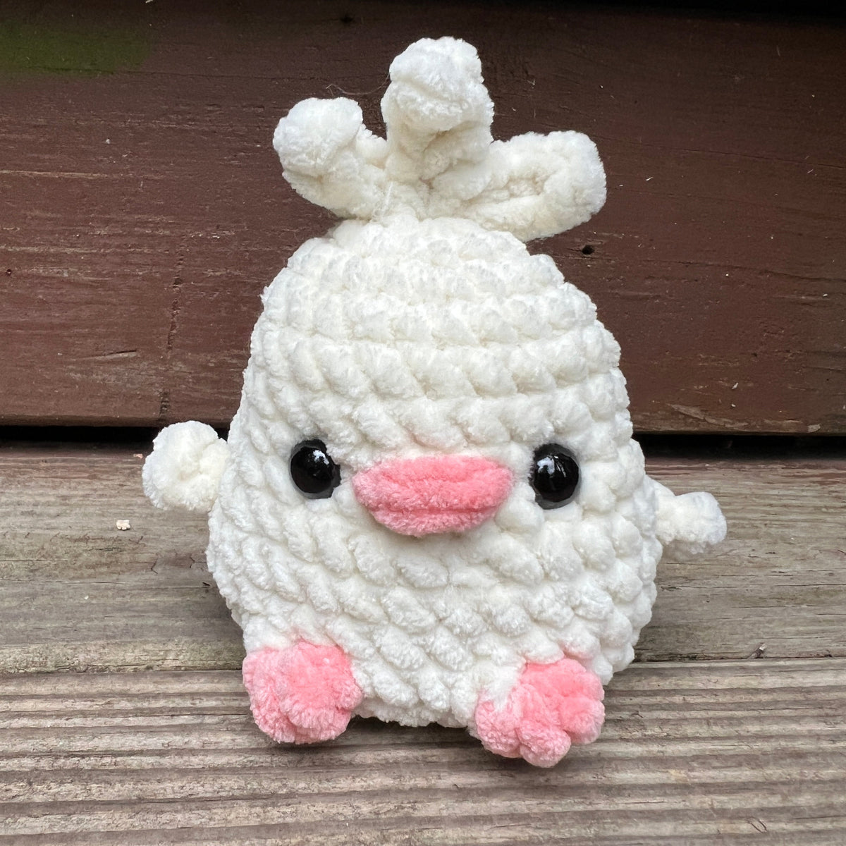 Chubby Chicks