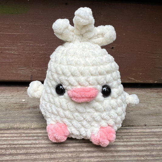 Chubby Chicks