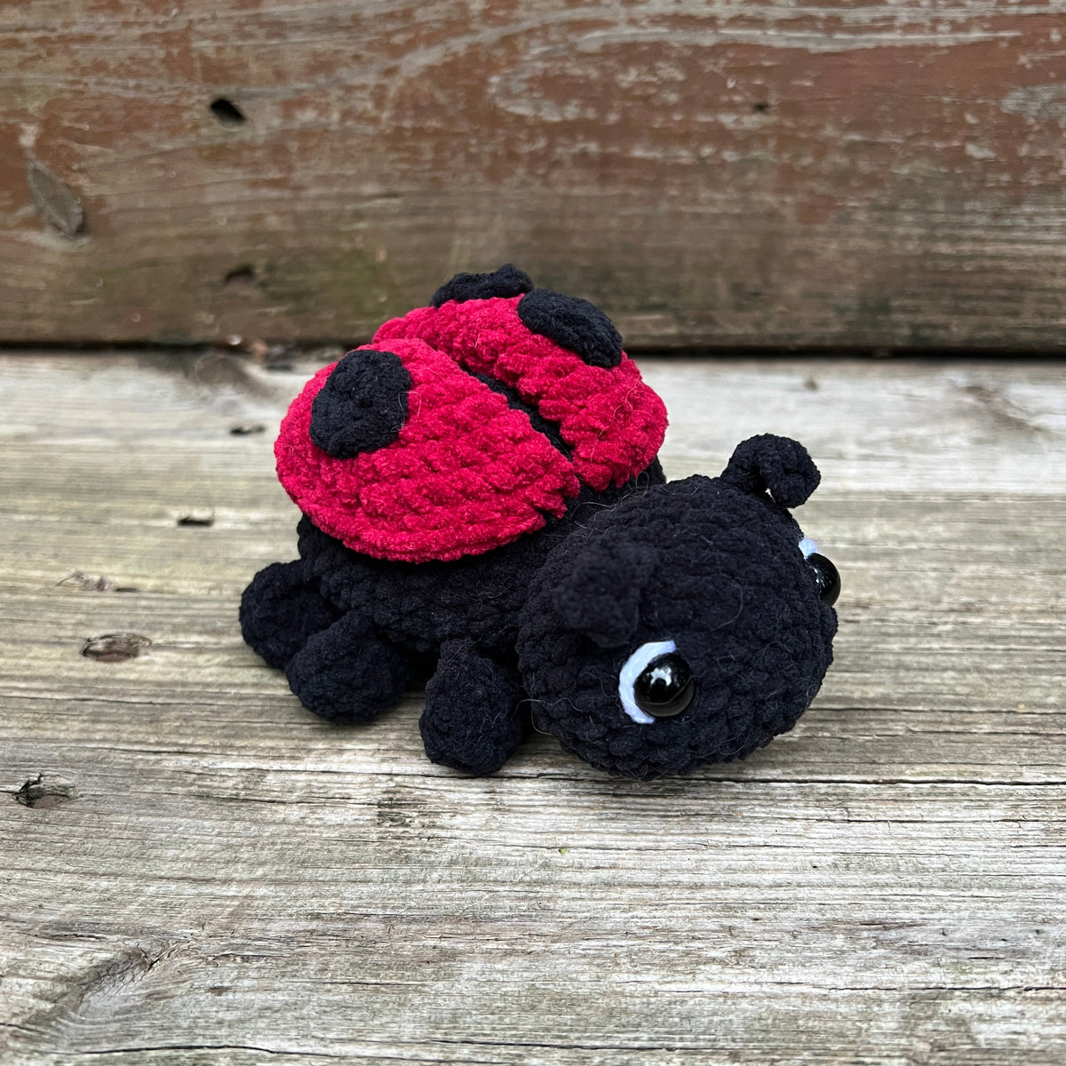 Lil’ Ladybug
