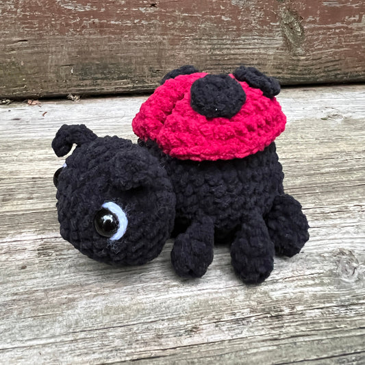 Lil’ Ladybug
